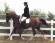 duel_pix_from_xerox_copy.jpg