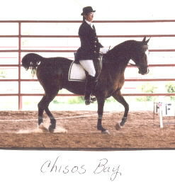 chisos_bay-not_cr.jpg