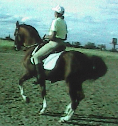 duelopassalfthindgrntonehpnx1072cr.jpg