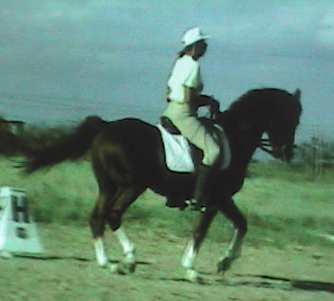 duelopassartsidegrntone1071cr.jpg
