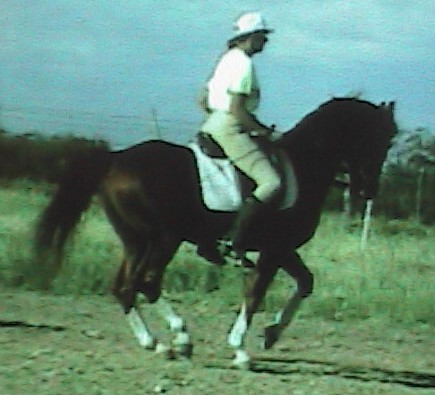 duelopiaffeexcrtsdegrntone1074cr.jpg