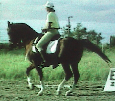 duelopiaffelftgrntone1064cr.jpg