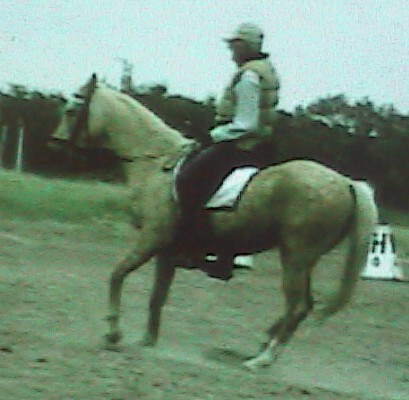 gringostoppinghpnx1102cr.jpg