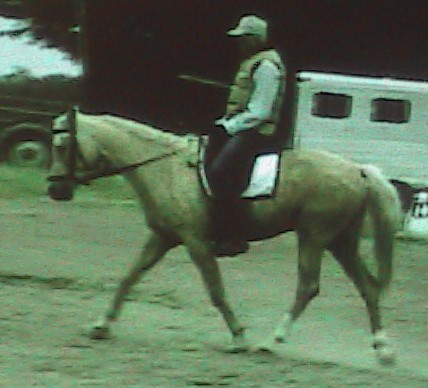 gringotrotlftsidehpnx1098cr.jpg