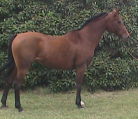 questahalterbest1020081043cr.jpg