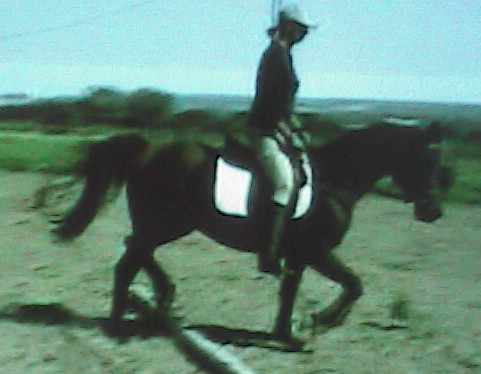 questaustrotpolehpnx1092.jpg